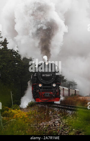 Antik und original Harzer Dampflok durch den Nebel und Dampf bei einem stimmungsvollen Herbsttag mit Orangenbäumen und dunklem Rauch (Deutschland) Stockfoto