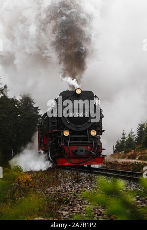 Antik und original Harzer Dampflok durch den Nebel und Dampf bei einem stimmungsvollen Herbsttag mit Orangenbäumen und dunklem Rauch (Deutschland) Stockfoto