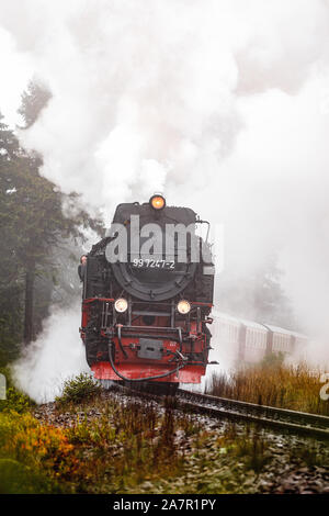 Antik und original Harzer Dampflok durch den Nebel und Dampf bei einem stimmungsvollen Herbsttag mit Orangenbäumen und dunklem Rauch (Deutschland) Stockfoto