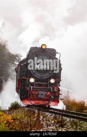 Antik und original Harzer Dampflok durch den Nebel und Dampf bei einem stimmungsvollen Herbsttag mit Orangenbäumen und dunklem Rauch (Harz, Deutschland Stockfoto