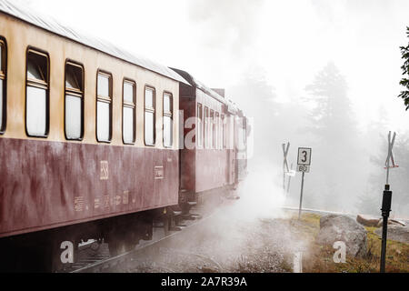 Antik und original Harzer Dampflok durch den Nebel und Dampf bei einem stimmungsvollen Herbsttag mit Orangenbäumen und dunklem Rauch (Harz, Deutschland Stockfoto