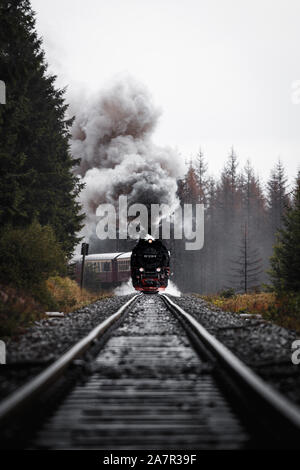 Antik und original Harzer Dampflok durch den Nebel und Dampf bei einem stimmungsvollen Herbsttag mit Orangenbäumen und dunklem Rauch (Harz, Deutschland Stockfoto