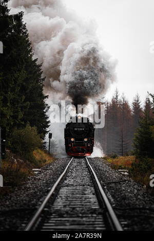 Antik und original Harzer Dampflok durch den Nebel und Dampf bei einem stimmungsvollen Herbsttag mit Orangenbäumen und dunklem Rauch (Harz, Deutschland Stockfoto