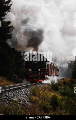 Antik und original Harzer Dampflok durch den Nebel und Dampf bei einem stimmungsvollen Herbsttag mit Orangenbäumen und dunklem Rauch (Harz, Deutschland Stockfoto