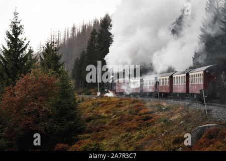 Antik und original Harzer Dampflok durch den Nebel und Dampf bei einem stimmungsvollen Herbsttag mit Orangenbäumen und dunklem Rauch (Harz, Deutschland Stockfoto