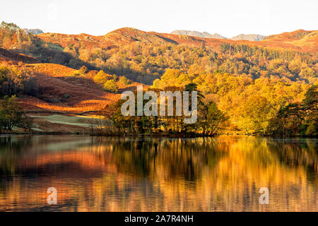 Goldener Herbst Reflexionen über Rydal Wasser im Lake District, Cumbria England Großbritannien Stockfoto