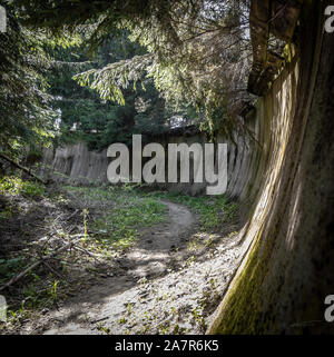 Verlorene Ort: Alte Bob im Wald Stockfoto