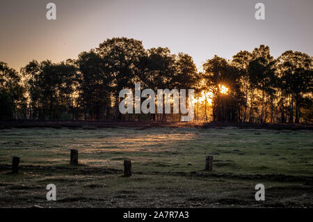 Nebliger Sonnenaufgang in der Lüneburger Heide Stockfoto