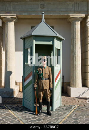 Sentry guard Soldaten draußen vor der Ungarischen Präsidentenpalast. Auch bekannt als Sándor Palast (Alexander Palace). Budapest Stockfoto