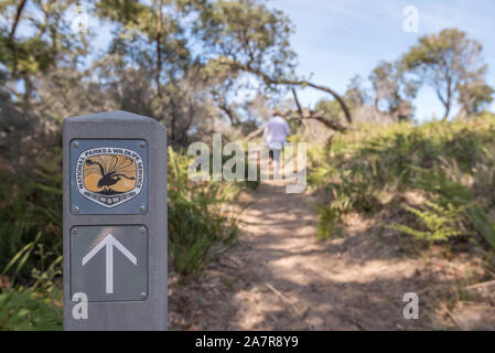 New South Wales National Parks und Wildlife Anleitung Zeichen am Jibbon LOOP-Spur in der Nähe der Einfahrt zum Hafen Hacking im südlichen Sydney, Australien Stockfoto