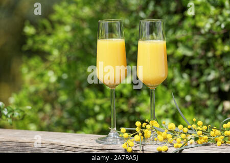 Zwei Gläser von Mimosa Cocktail im Freien gegen üppigem Laub Stockfoto