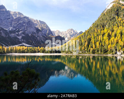 Italien, Trentino Alto Adige: die natürliche Landschaft der Pragser See mit grünen Bäumen, See mit Reflexion und Berg mit Schnee Stockfoto