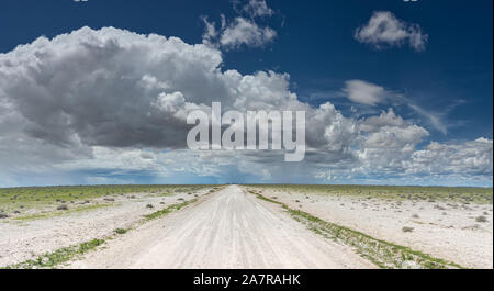 Etosha Nationalpark in Nambia Stockfoto