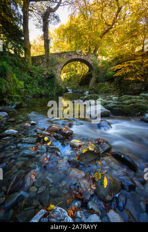 Tollymore Forest Park im Bryansford Nordirland Stockfoto