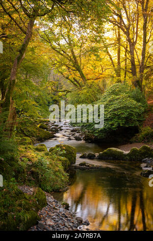 Tollymore Forest Park im Bryansford Nordirland Stockfoto