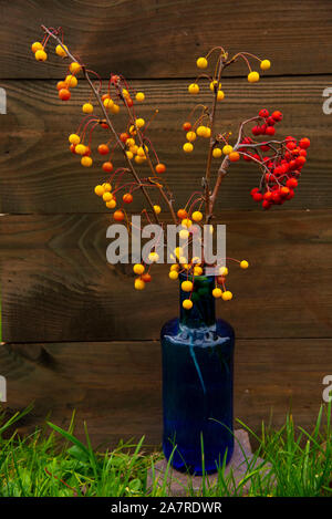 Branchen mit Beeren in einer blauen Flasche auf einem hölzernen Hintergrund. Stockfoto