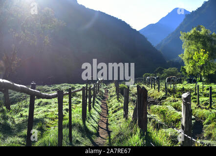 Malerischer Wanderweg im Nationalpark Los Nevados bei Sonnenaufgang mit Sonneneinstrahlung. Cocora Valley, Kolumbien Stockfoto