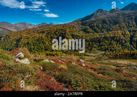 Schönen farbigen Herbst Szene in den italienischen Alpen in der Nähe von Timmelsjoch Kreuzung mit gelben Lärchen und roten Pflanzen auf einem hellen, sonnigen Oktober da Stockfoto