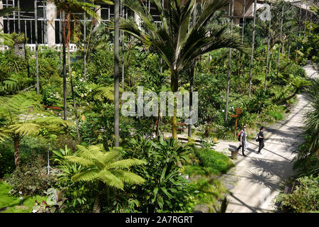 Portugal: Lissabon: "Estufa Fria" tropenhaus und seine drei botanischen Gärten mit Pflanzen, Kakteen und exotische Bäume, in den Eduardo VII p befindet Stockfoto