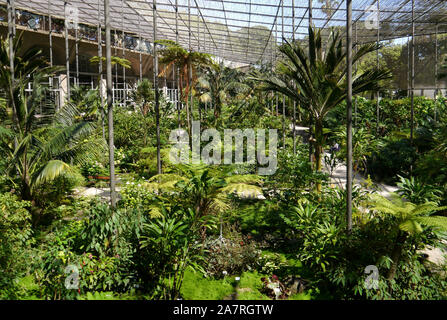 Portugal: Lissabon: ÒEstufa FriaÓ Tropenhaus und seine drei botanischen Gärten mit Pflanzen, Kakteen und exotische Bäume, in den Eduardo VII p befindet Stockfoto