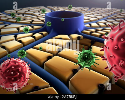 Virus Angriff der Leber, Leberzellen, Lebererkrankungen, Struktur der Leber Stockfoto