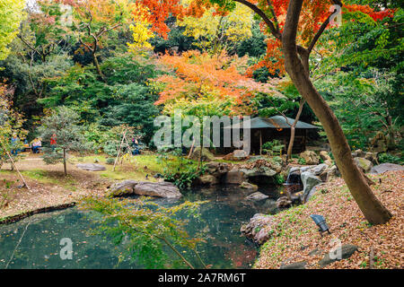 Rikugien Garten im Herbst in Tokio, Japan. Stockfoto