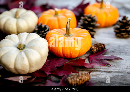 Festliche Herbst Dekor aus Kürbissen, Kiefer und Blätter auf einem Holz- Hintergrund. Konzept der Thanksgiving oder Halloween. Flach herbst Zusammensetzung wit Stockfoto