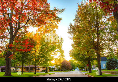 Herbst ist überall um uns herum. Straße durch Wald. Wüst Straße auf natürliche Landschaft. Asphaltierte Straße. Straße in der Landschaft. Reisen und Fernweh. Stockfoto