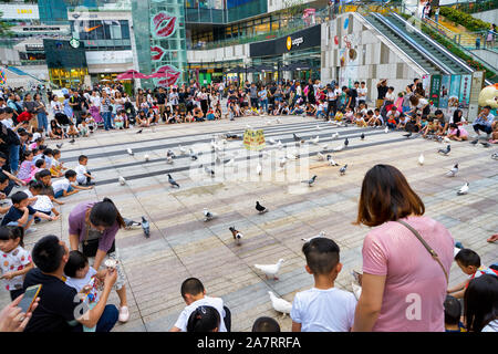 SHENZHEN, China - ca. April 2019: Leute, die Fütterung der Tauben in Shenzhen Stockfoto