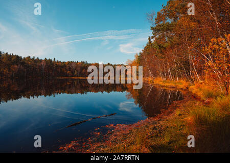 Herbst Landschaft mit Wald, See an der sonnigen ruhigen Herbst morgen Stockfoto