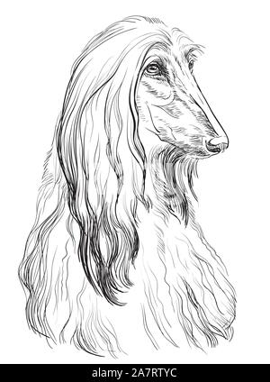 Afghan Hound Dog Vektor hand Zeichnung Illustration in schwarzer Farbe auf weißem Hintergrund Stock Vektor