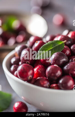 Frische reife Preiselbeeren in der Schüssel auf dem Tisch close-up Stockfoto