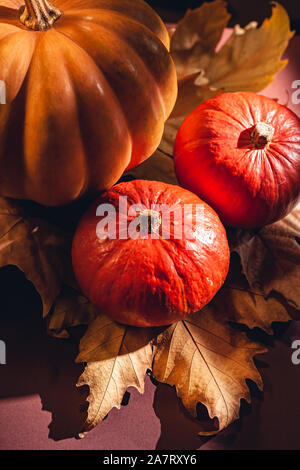 Herbst Zusammensetzung der Kürbisse und gelbe Blätter. Foto der Kürbisse auf trockenen Blättern. Stockfoto