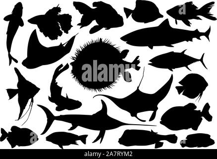 Aquatische Fisch schwarz Vektor Silhouetten Stock Vektor