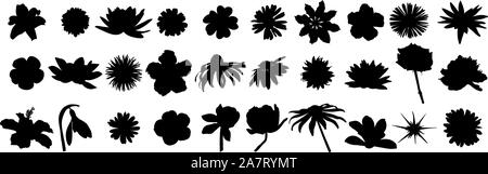 Blüten schwarz Vektor Silhouette Stock Vektor