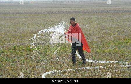 Ein chinesischer Bauer Schläuche Wasser ein Weizenfeld bei einer schweren Dürre in Taiping Dorf, Stadt, Stadt Mingguang Pancun zu bewässern,'s East China Anhui Pro Stockfoto