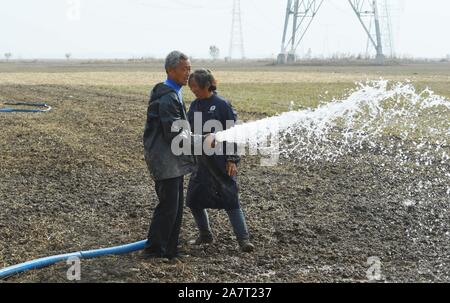Ein chinesischer Bauer Schläuche Wasser ein Weizenfeld bei einer schweren Dürre in Taiping Dorf, Stadt, Stadt Mingguang Pancun zu bewässern,'s East China Anhui Pro Stockfoto