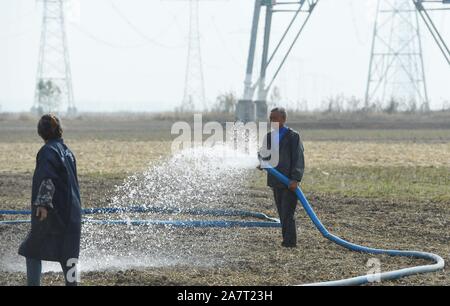 Ein chinesischer Bauer Schläuche Wasser ein Weizenfeld bei einer schweren Dürre in Taiping Dorf, Stadt, Stadt Mingguang Pancun zu bewässern,'s East China Anhui Pro Stockfoto