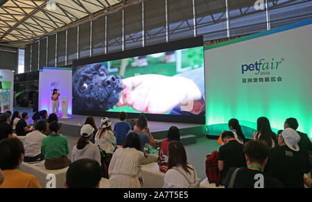 Pet-Liebhaber Herde zu sehen süße Haustiere an der Pet-Messe Asien 2019, das ist der 22. des Fairen, beginnt in Shanghai, China, 21. August 2019. *** Lokale Capti" Stockfoto