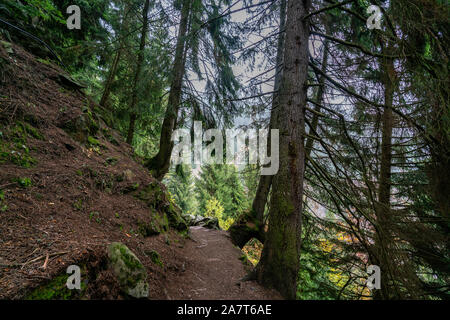 Wanderweg Meeraner Höhenweg über den Wald in der Nähe der Leiter Alm in Italien an einem Herbsttag Stockfoto