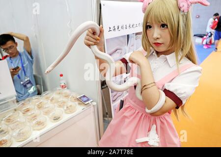 Ein cosplayer hält eine weiße Schlange bei Pet Fair Asia 2019 in Shanghai, China, 23. August 2019. *** Local Caption *** fachaoshi Stockfoto