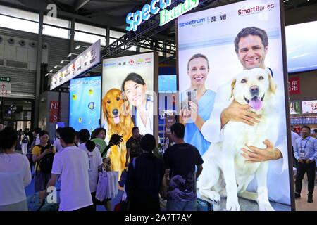 Pet-Liebhaber Herde zu sehen süße Haustiere an der Pet-Messe Asien 2019, das ist der 22. des Fairen, beginnt in Shanghai, China, 21. August 2019. *** Lokale Capti" Stockfoto