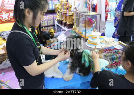 Pet-Liebhaber Herde zu sehen süße Haustiere an der Pet-Messe Asien 2019, das ist der 22. des Fairen, beginnt in Shanghai, China, 21. August 2019. *** Lokale Capti" Stockfoto