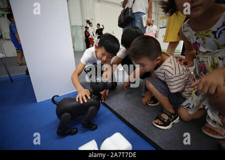 Chinesische Kinder interagieren mit einem Haustier Hund - wie Roboter während der 2019 Wort Robot Konferenz (WRC) in Peking, China, 20. August 2019. Stockfoto