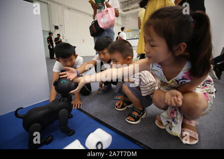 Chinesische Kinder interagieren mit einem Haustier Hund - wie Roboter während der 2019 Wort Robot Konferenz (WRC) in Peking, China, 20. August 2019. Stockfoto