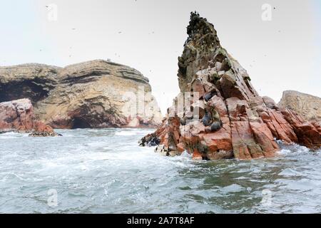 Ballestas Inseln mit Vögeln, Robben und Seelöwen, Peru Stockfoto