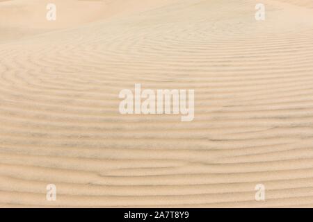 Sandboarding und Buggy in den Dünen von Peru Stockfoto