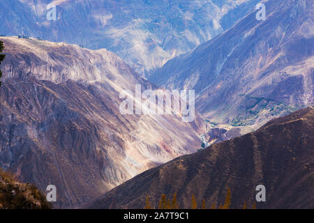 Der Colca Canyon ist eine Schlucht des Colca River im Süden Perus und liegt etwa 160 Kilometer (99 Meilen) nordwestlich von Arequipa. Stockfoto
