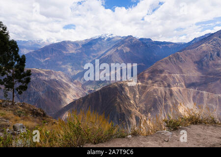 Der Colca Canyon ist eine Schlucht des Colca River im Süden Perus und liegt etwa 160 Kilometer (99 Meilen) nordwestlich von Arequipa. Stockfoto