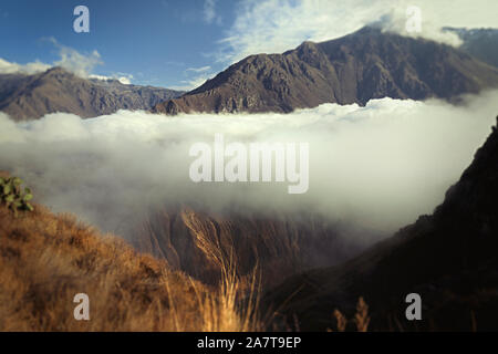 Der Colca Canyon ist eine Schlucht des Colca River im Süden Perus und liegt etwa 160 Kilometer (99 Meilen) nordwestlich von Arequipa. Stockfoto